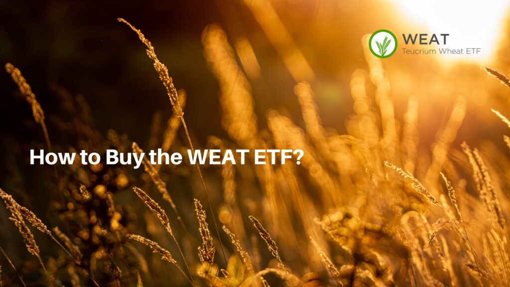 小麦ETF、WEATの買い方とは？