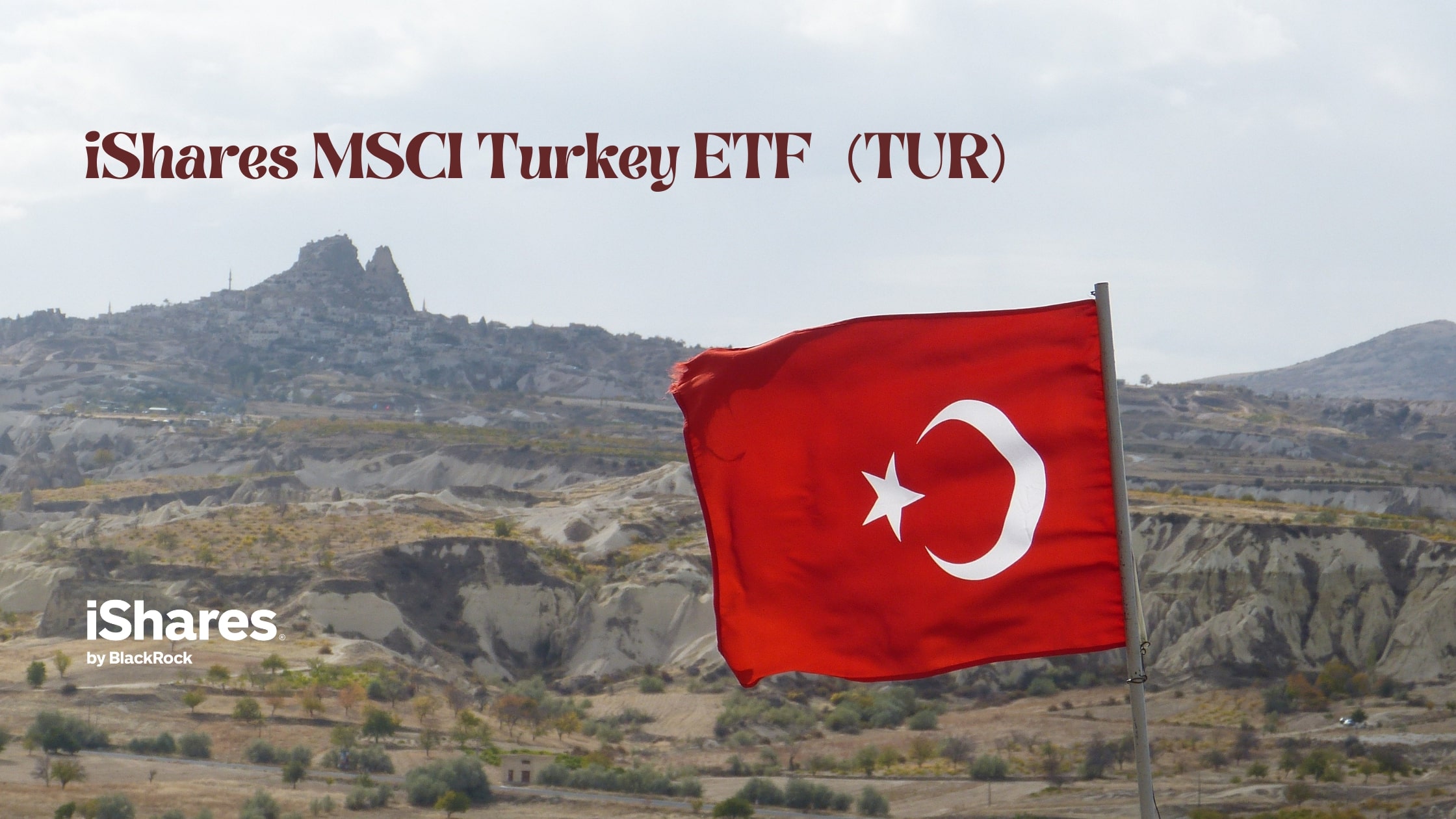 【トルコETF】トルコの株式市場に投資するETF、TURとは？
