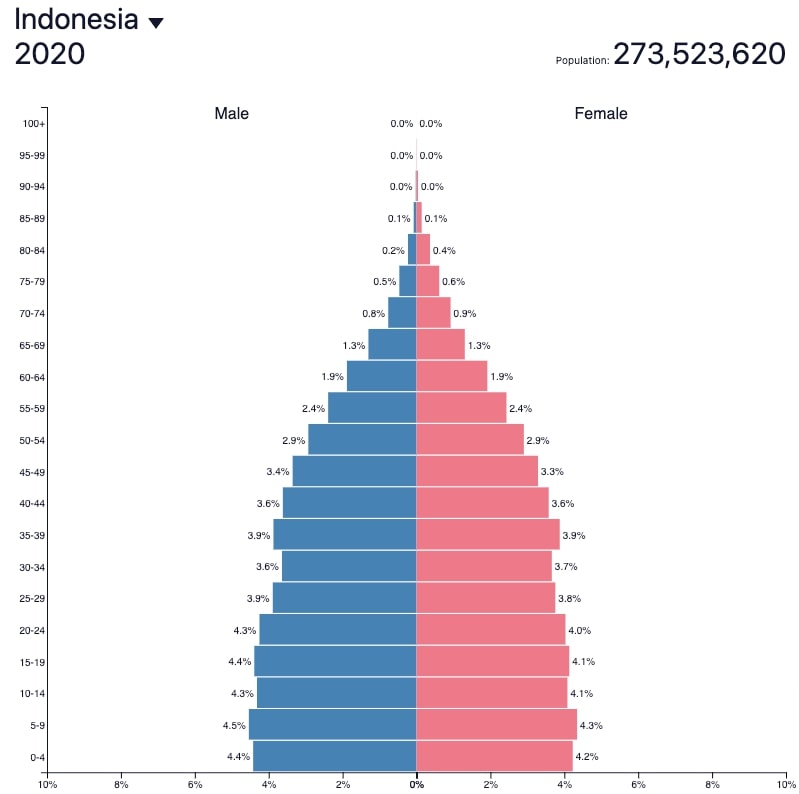 インドネシア人口ピラミッド