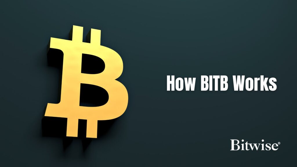 BITBの運用方法とは？